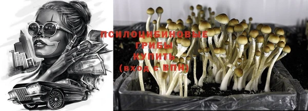 дурь Алексеевка
