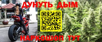 эйфоретик Жуковский