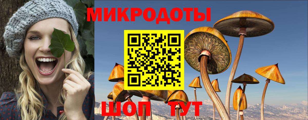 Галлюциногенные грибы Magic Shrooms  Галлюциногенные грибы Magic Shrooms  Вход с VPN  Заволжье 